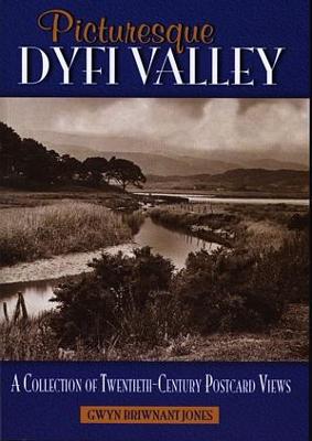 Book cover for Picturesque Dyfi Valley - A Collection of Twentieth-Century Postcard Views