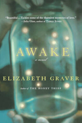 Cover of Awake