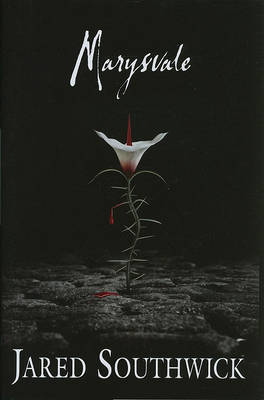 Book cover for Marysvale