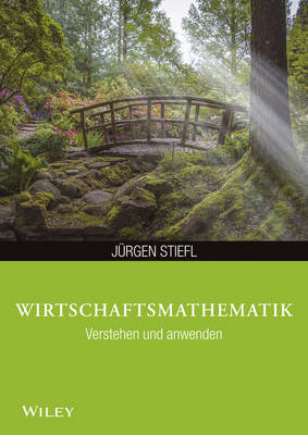 Book cover for Wirtschaftsmathematik anwenden und verstehen