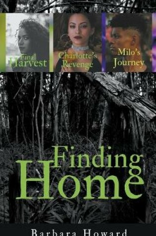 Cover of Finding Home Mystery Series