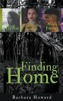 Book cover for Finding Home Mystery Series