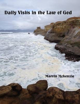 Book cover for Daily Visits in the Law of God