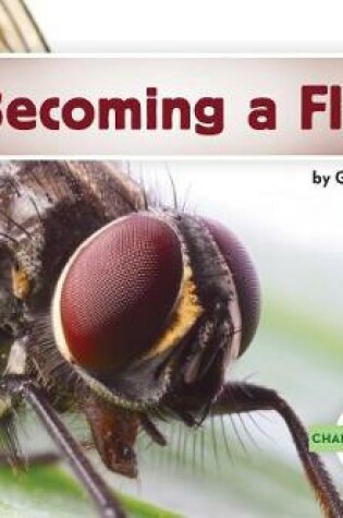 Cover of Becoming a Fly