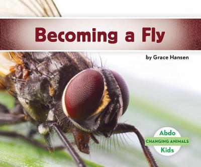 Book cover for Becoming a Fly