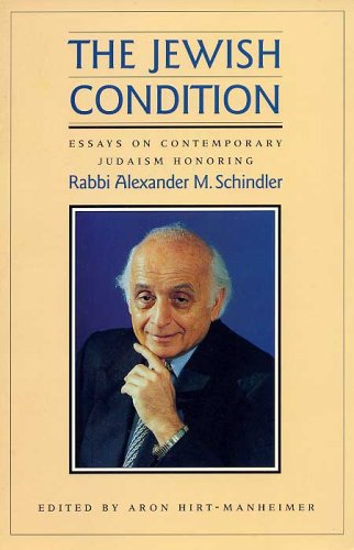 Book cover for The Jewish Condition