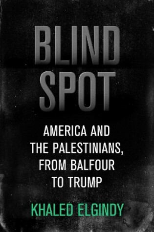 Cover of Blind Spot