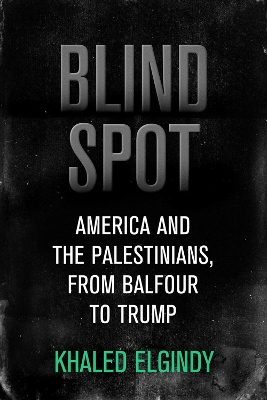 Book cover for Blind Spot