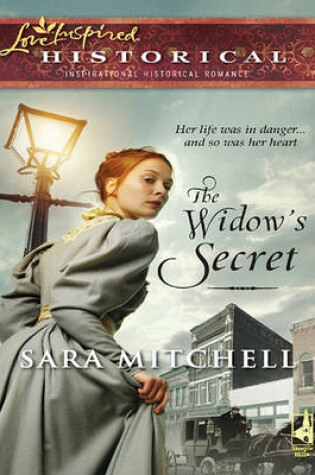 Cover of The Widow's Secret