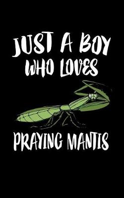 Book cover for Just A Boy Who Loves Praying Mantis