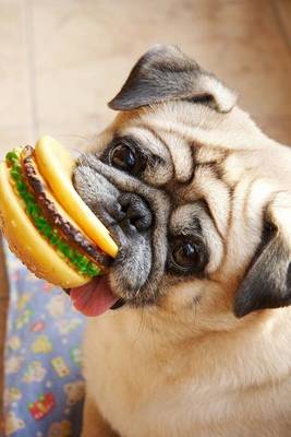 Book cover for Pug Dog Wants a Real Burger Instead of a Toy Hamburger Journal