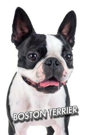 Cover of Boston Terrier