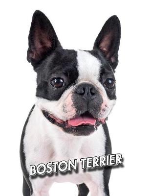 Book cover for Boston Terrier