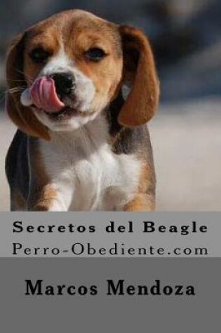 Cover of Secretos del Beagle