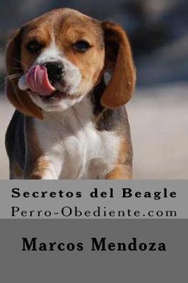 Book cover for Secretos del Beagle