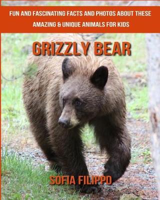 Book cover for Grizzly bear