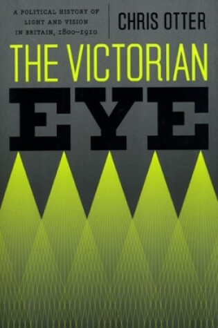 Cover of The Victorian Eye