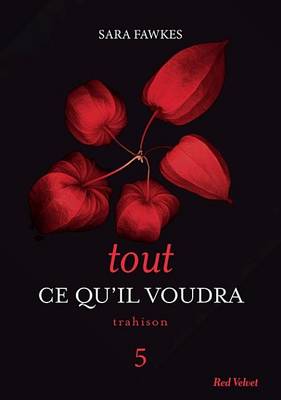 Book cover for Tout Ce Qu'il Voudra 5