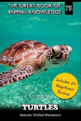 Book cover for Turtles