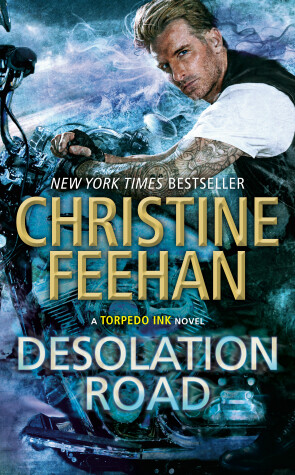 Book cover for Desolation Road