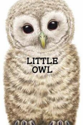 Cover of Little Owl