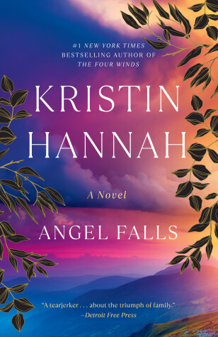 Book cover for Angel Falls