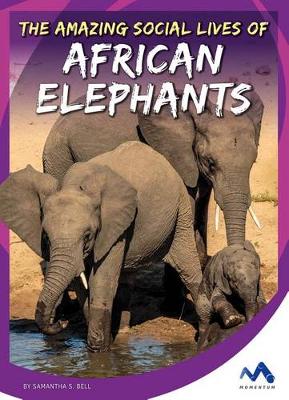 Book cover for The Amazing Social Lives of African Elephants