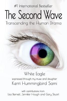 Book cover for The Second Wave