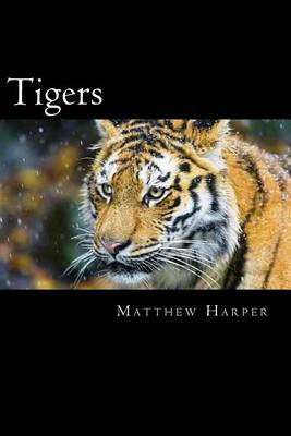 Cover of Tigers