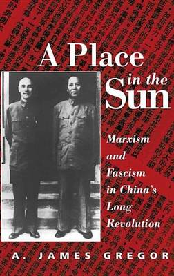 Book cover for A Place In The Sun