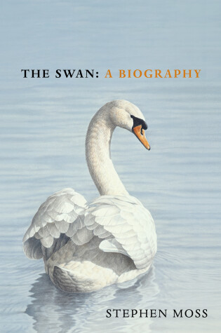 Cover of The Swan