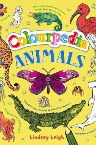 Cover of Colourpedia: Animals