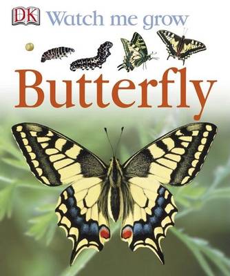 Butterfly by Lisa Magloff