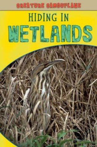 Cover of Hiding in Wetlands