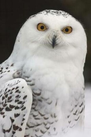 Cover of White Snowy Owl Bird Journal