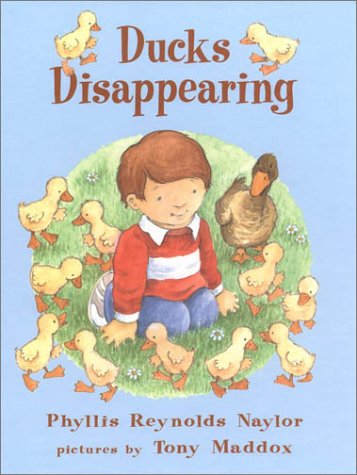 Book cover for Ducks Disappearing