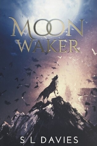 Cover of Moon Waker