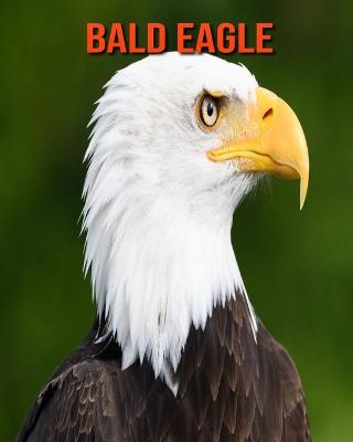 Book cover for Bald Eagle