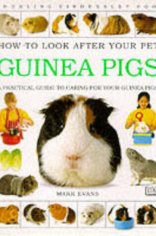 Cover of How To Look After Your Pet:  Guinea Pigs
