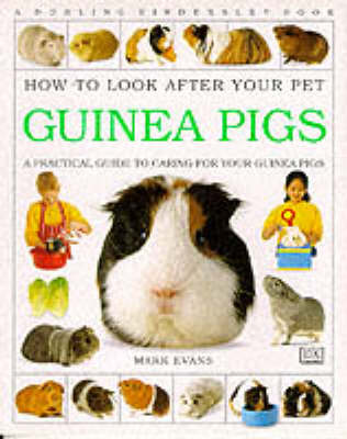 Book cover for How To Look After Your Pet:  Guinea Pigs
