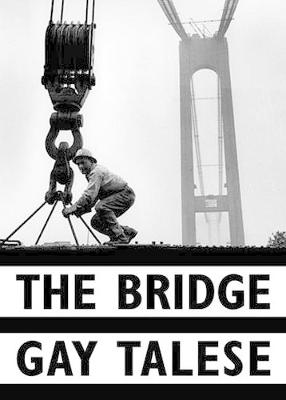 Book cover for The Bridge