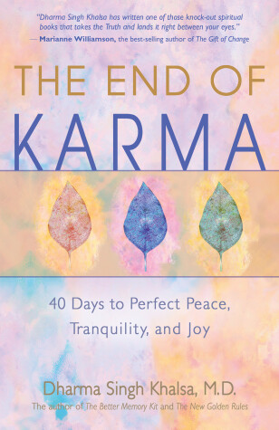Book cover for The End of Karma
