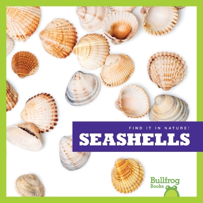 Book cover for Seashells