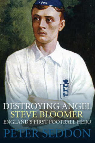 Cover of Destroying Angel: Steve Bloomer