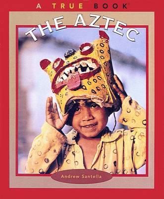 Book cover for The Aztec