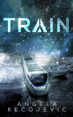 Book cover for Train