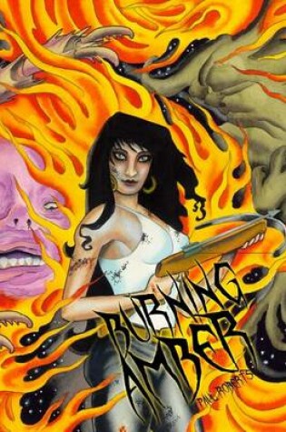 Cover of Burning Amber