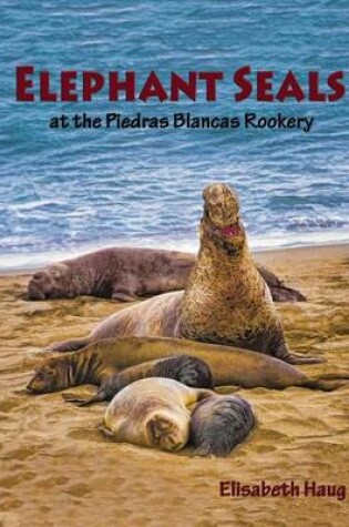 Cover of Elephant Seals at the Piedras Blancas Rookery