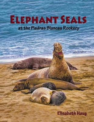 Book cover for Elephant Seals at the Piedras Blancas Rookery