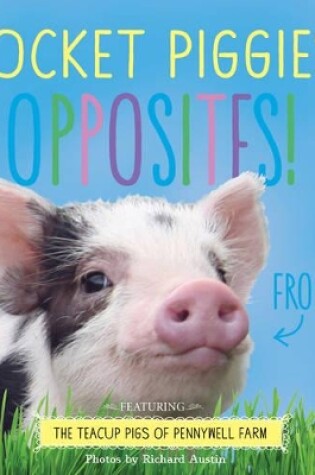 Cover of Pocket Piggies Opposites!